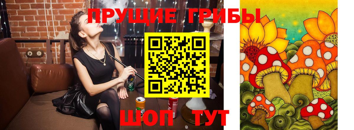 где можно купить   Вход с VPN  Верхняя Салда  Галлюциногенные грибы прущие грибы 